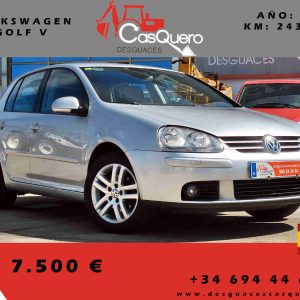VOLKSWAGEN GOLF V 1.9 TDI DSG